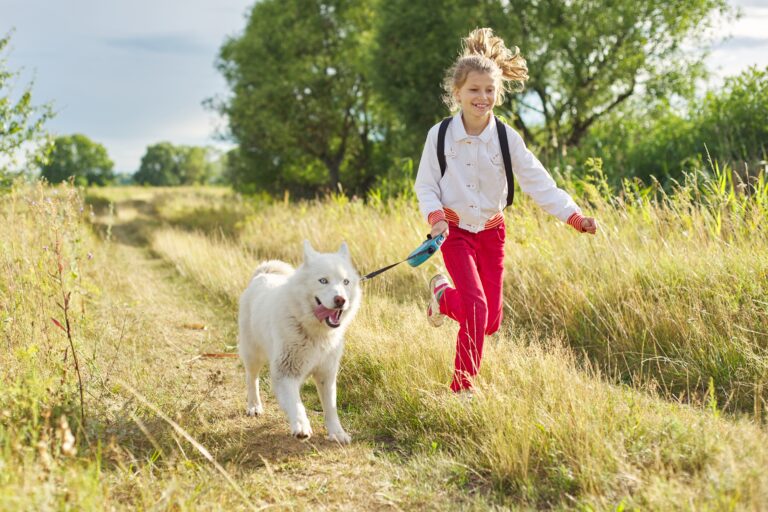 Lee más sobre el artículo ¡Descubre la Clave para un Perro Feliz y Energético!