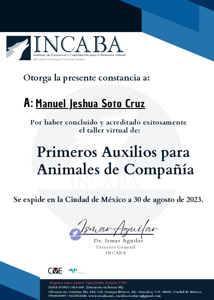 Lee más sobre el artículo Primeros Auxilios para Animales de Compañía