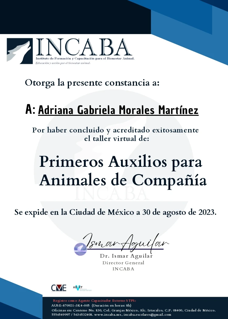 En este momento estás viendo Primeros Auxilios para Animales de Compañía