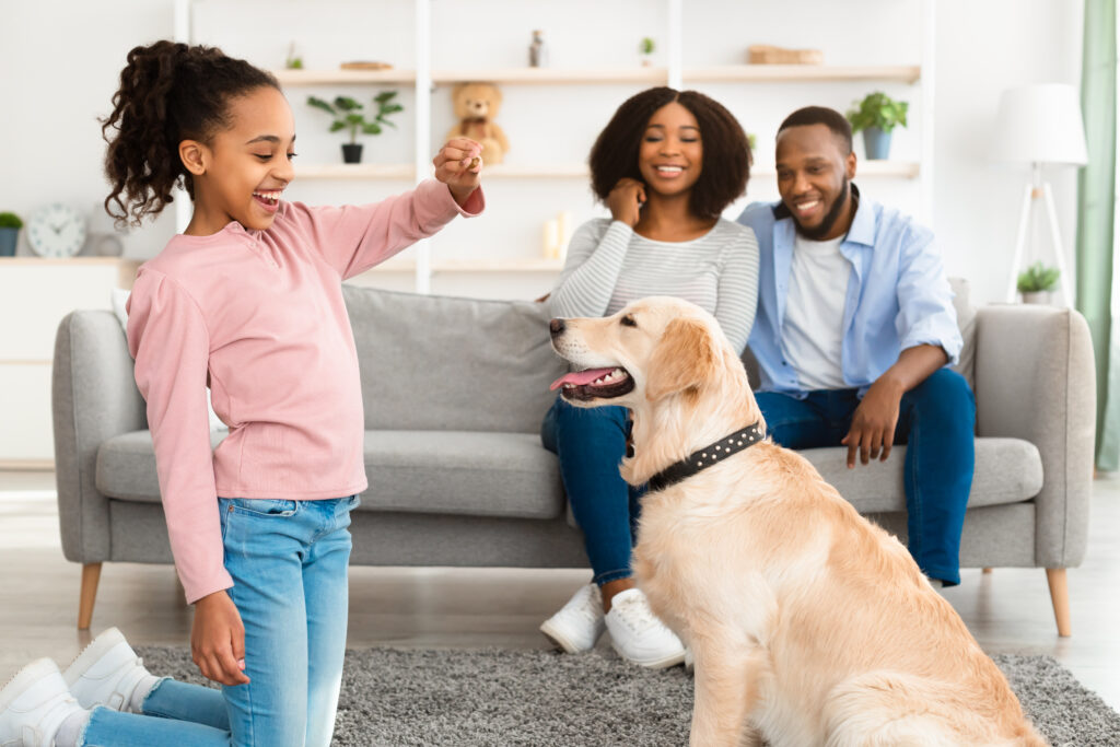 Entrenamiento de Obediencia Básica en perros.