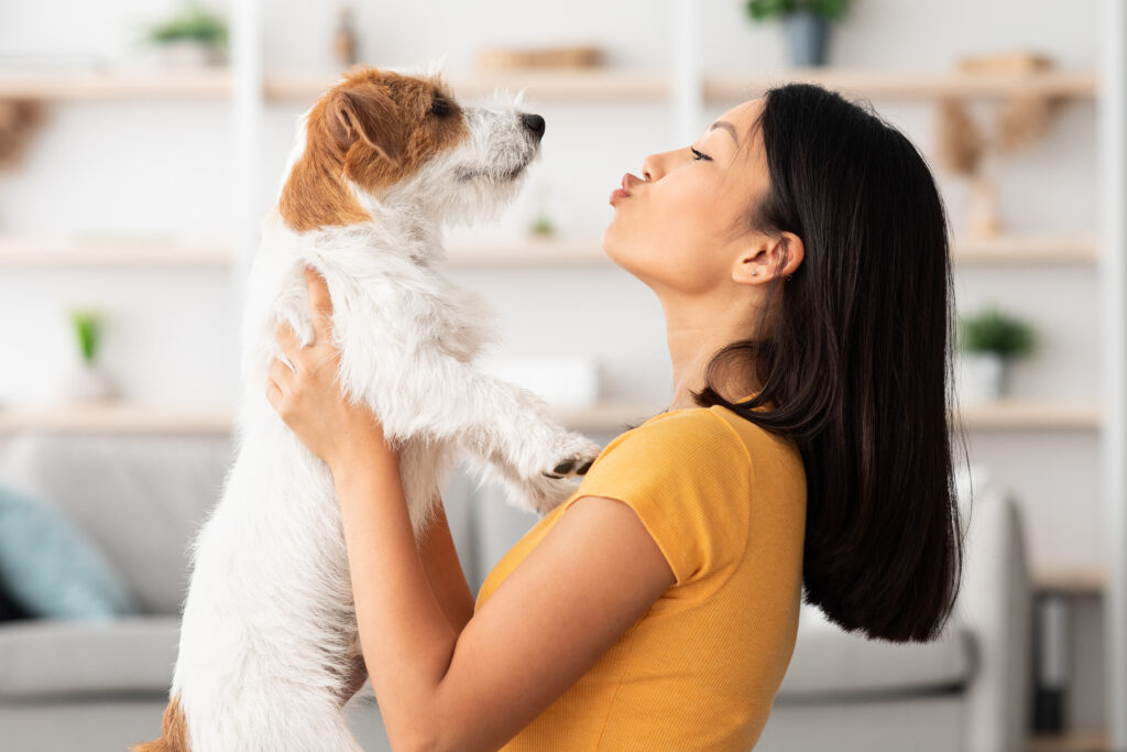 Celebra el día del perro con tu mejor amigo.