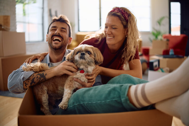 Lee más sobre el artículo 5 Razones Poderosas para ser Padres de Mascotas es  Tendencia